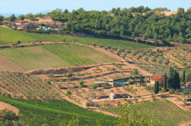 BUcciarelli Antico podere casanova