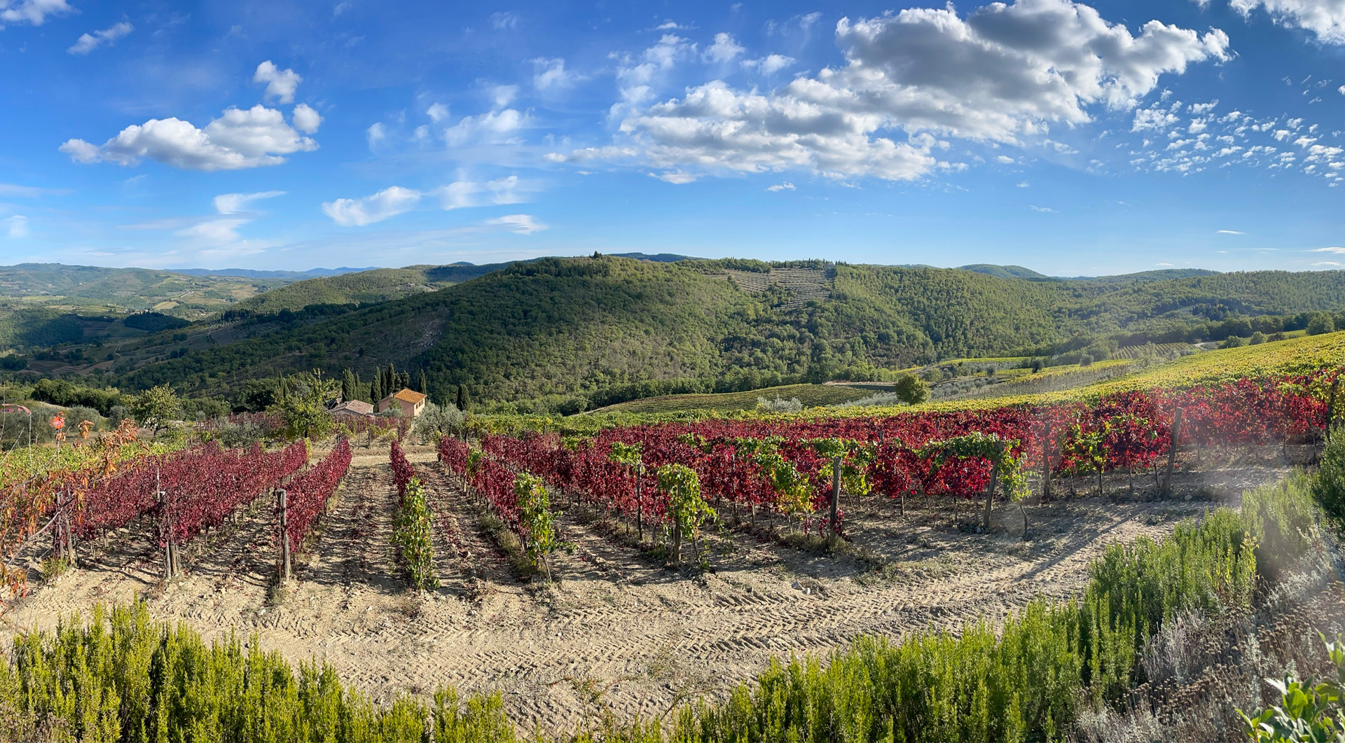 Il Chianti di Michelangelo